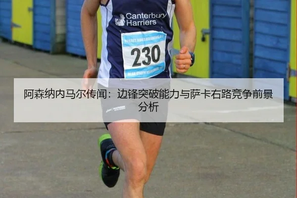 a-sen-na-nei-ma-er-chuan-wen-bian-feng-tu-po-neng-li-yu-sa-ka-you-lu-jing-zheng-qian-jing-fen-xi-2-169.jpg
