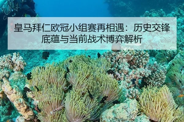 皇马拜仁欧冠小组赛再相遇：历史交锋底蕴与当前战术博弈解析